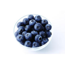 IQF Freezing Organic Blueberry Zl-160001